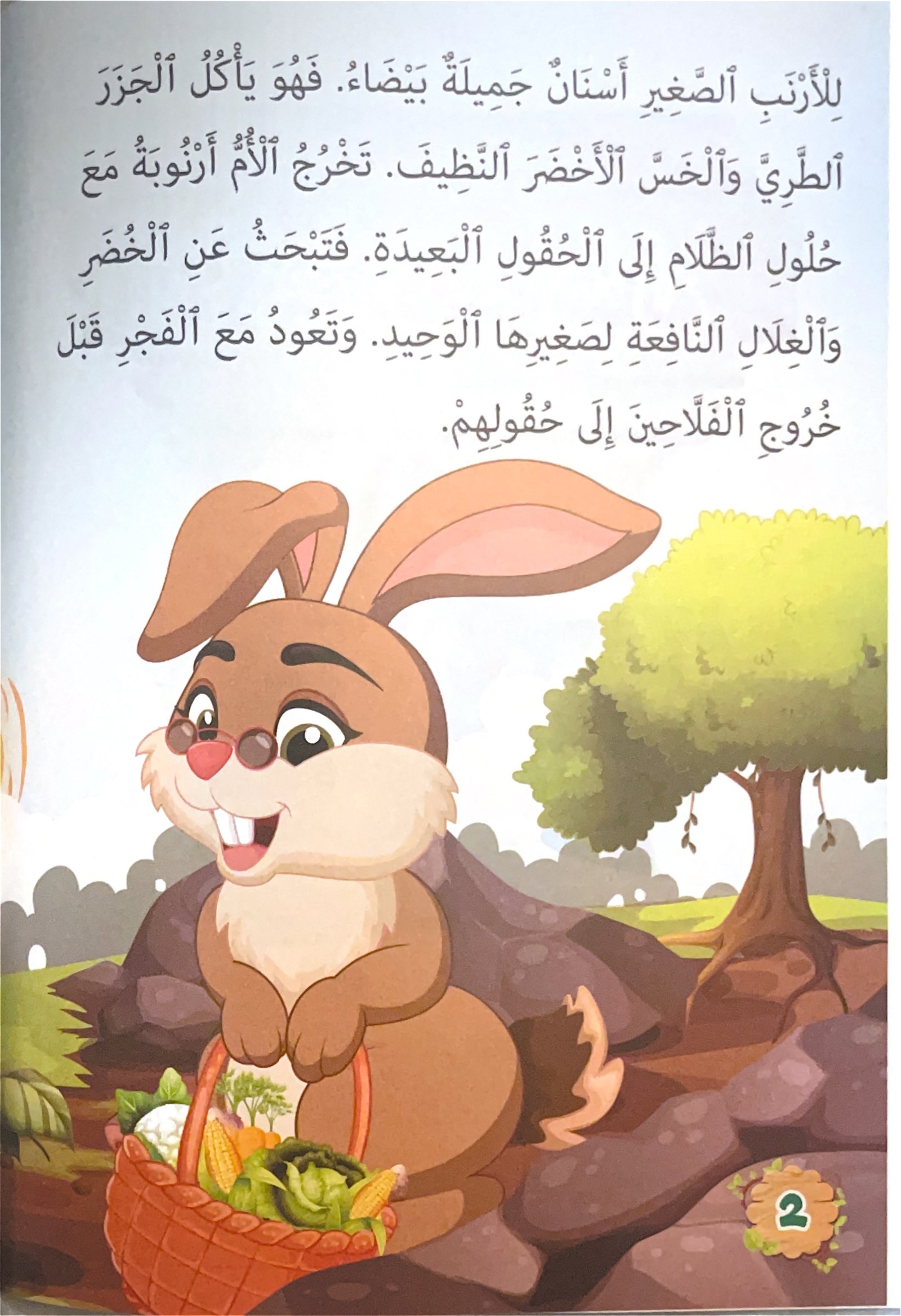 librairie en arabe pour enfants – 16.2