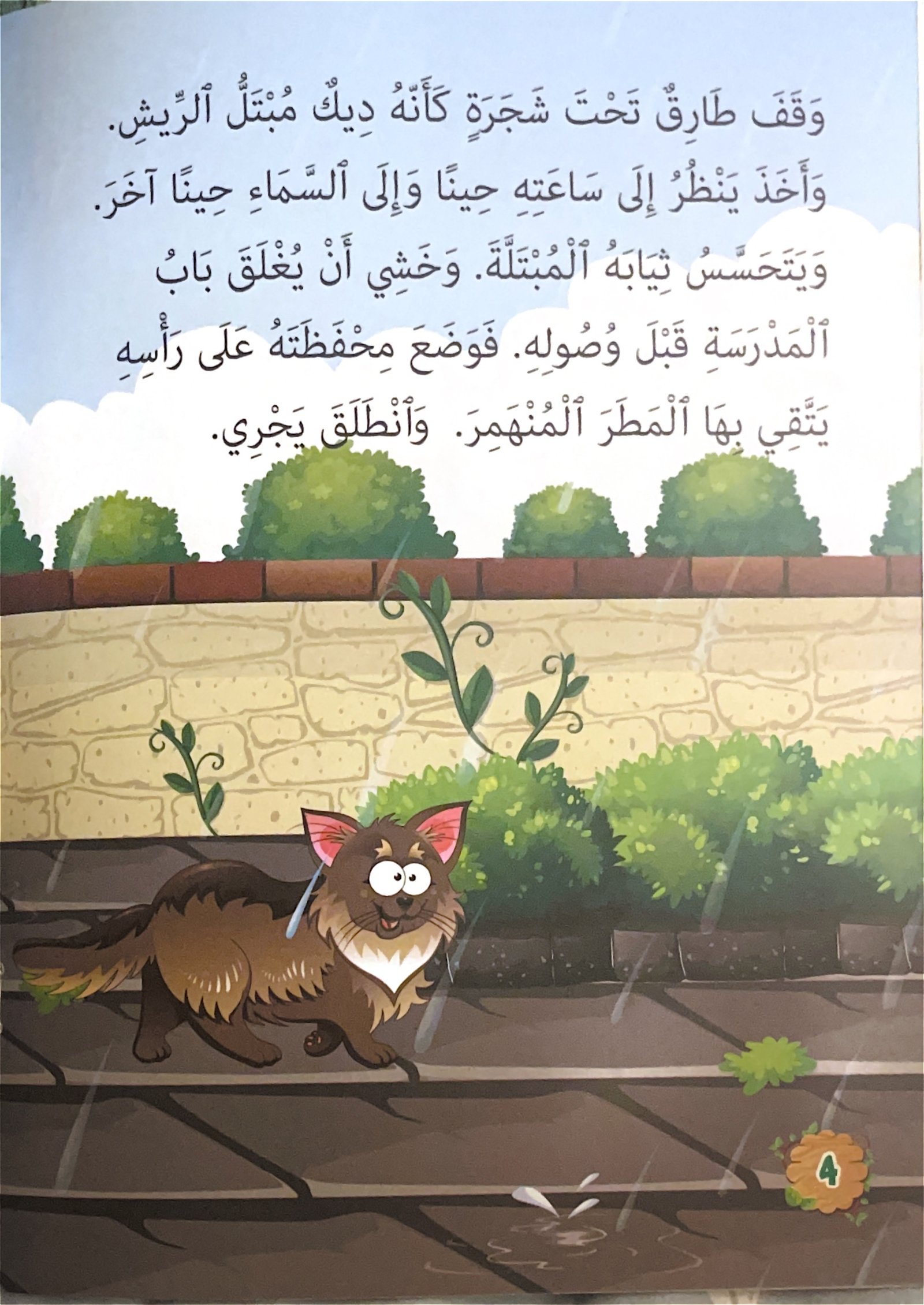 librairie en arabe pour enfants – 16.2