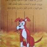 librairie en arabe pour enfants – 26.3