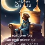 Le Petit prince et le Renard