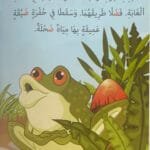 L&rsquo;intelligence d&rsquo;un éléphant