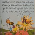 L&rsquo;abeille et le papillon