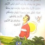 Attention, ce ne sont pas des abeilles!