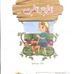 Le visiteur étrange