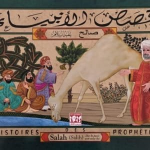 Couverture du livre Histoires des Prophètes – Salah (Salih) عليه السلام, Éditions IRIS, livre illustré bilingue français-arabe