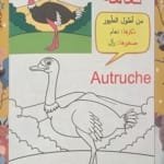 Page intérieure du cahier de coloriage arabe sur l’autruche, avec illustration et mot en arabe et français