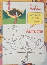 Page intérieure du cahier de coloriage arabe sur l’autruche, avec illustration et mot en arabe et français
