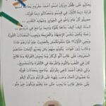 Illustration du livre Histoire d’Ahmed le lecteur