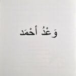 Illustration du conte La promesse d’Ahmed