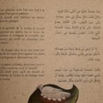 colombe-renard-heron-page-bilingue-texte-arabe-francais Extrait de la page intérieure, texte bilingue Arabe-Français de la fable