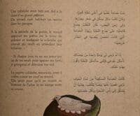 colombe-renard-heron-page-bilingue-texte-arabe-francais Extrait de la page intérieure, texte bilingue Arabe-Français de la fable
