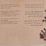 Extrait de l'histoire pour voir le texte ArabeFrançais et les illustrations.