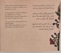 Extrait de l'histoire pour voir le texte ArabeFrançais et les illustrations.