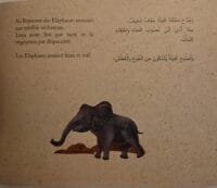 Page intérieure - Royaume des Éléphants Page intérieure du livre montrant un texte bilingue sur la sécheresse au royaume des éléphants avec l'illustration d'un éléphant seul.