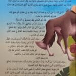 Dos du livre enfant arabe Faty Al Adghal montrant la liste de la collection Les Contes Magiques de Dar Al Yamama.